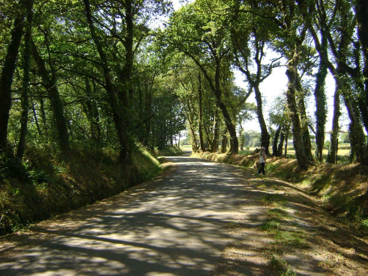 Stone Cottage O Cebreiro Curtis ภายนอก รูปภาพ