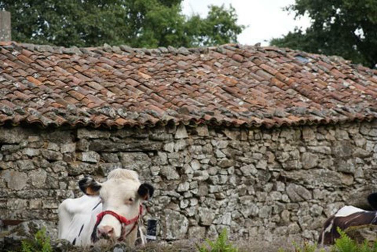 Stone Cottage O Cebreiro Curtis ภายนอก รูปภาพ